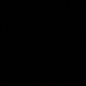 Meet your Posher, Dylan